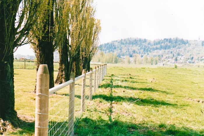 Custom wood fence design 3