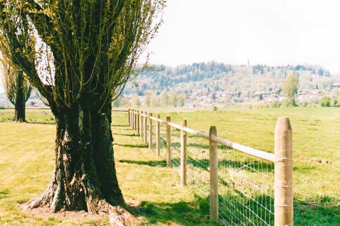 Quality craftsmanship